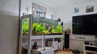 Plně vybavené obří akvárium 800L