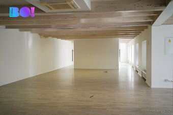 Pronájem kanceláře 260 m² – Zubatého, vlastní kuchyňka, WC,