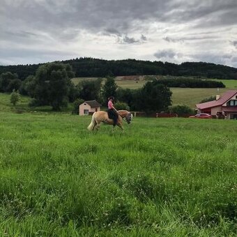 Hafling pro začátečníka