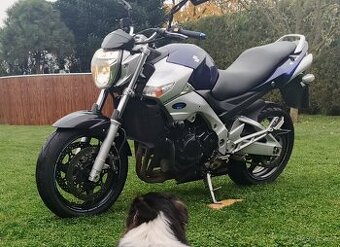 SUZUKI GSR 600