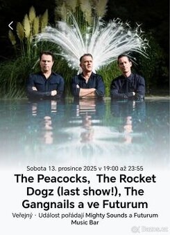 The Peacocks + The Gangnails + The Rocket Dogz