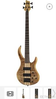 Koupím Harley benton BZ4000 nebo Sterling Stingray 4