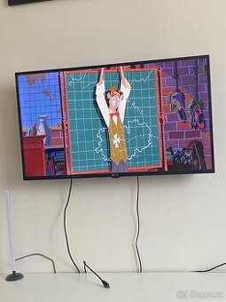 Led tv ECG. 101cm