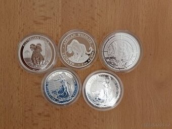 Investiční Stříbro mince 66 OZ