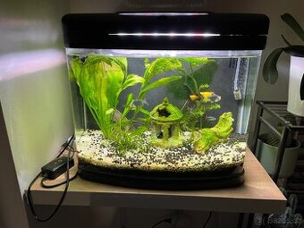 Akvarium Invital EasyTank LED 50 litrů