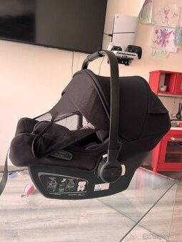 Bugaboo turtle
