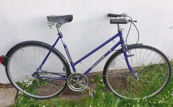 kolo Favorit