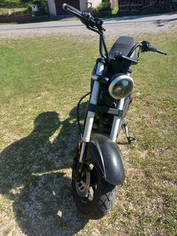 Ecowheel GR 25