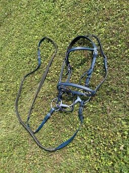 Pogumovaná uzda Norton