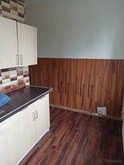 Pronájem bytu 2+1, 54 m², Borová 5156