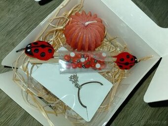 Dárková sada Vánoce beruška