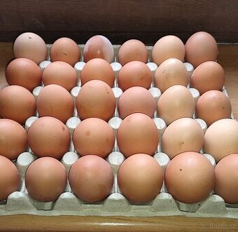 Domácí vajíčka 🥚🥚