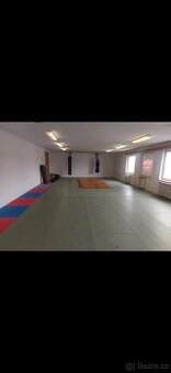 Judo žíněnky