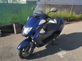 Honda Foresight 250