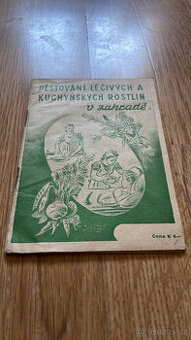 Pěstování léčivých a kuchyňských rostlin v zahradě, P.ZDARMA - 1