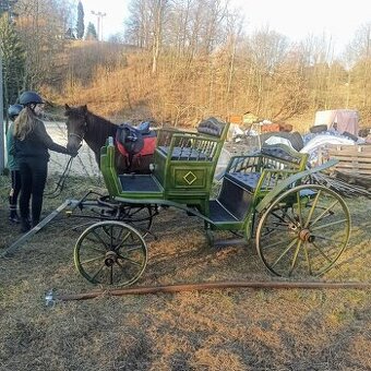 Bryčka, kočár pony