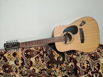 Dvanáctistrunná kytara Cort