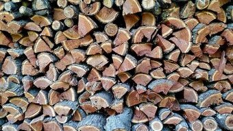 Suché švestkové dřevo na uzení