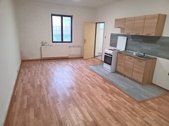 Pronajmu garsonku s vlastní zahradou v Aši