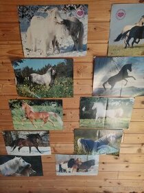 Velká sada plakátů s koňmi