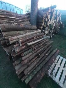 Palivové dřevo smrk, borovice ve 2m - 1
