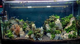 Kompletní profi akvárium pro aquascaping – plně vybavené