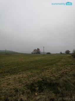 Prodej, pozemková parcela, Stanovice 9.239,5 m2