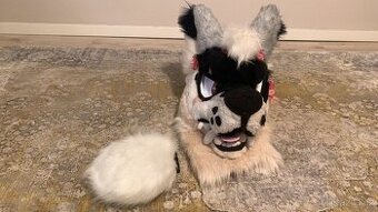 Fursuit hlava+ocas+badges (lq-mq)