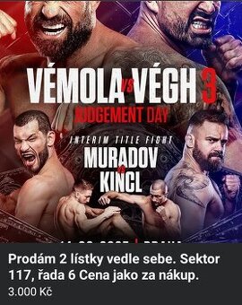 Oktagon Veg a vemola