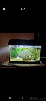 Akvarium