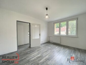 Pronájem, byty/2+1, 55 m2, Podkrušnohorská 958, Horní Litvín