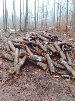 Palivové dřevo tvrdé