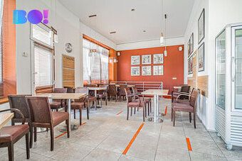 Pronájem obchodního prostoru, ul. Čapkova, Český Těšín