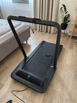 Bezici/chodici pas Flow Fitness