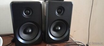 Reproduktory Yankee YSP2025 40w