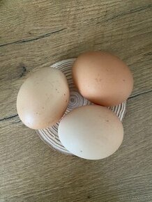 Domácí vejce - 1