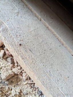 Prkna z podlahy 4m x 10 cm z plochy 50m²