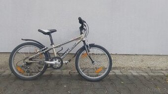 Author Cosmic 20"