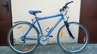 Author Reflex SX