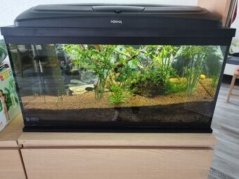 Akvarium 80x35x40 vybavené