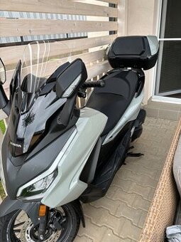Honda forza 125 6.2024