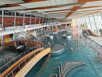 Celodenní vstupenka Aqualand Moravia Pasohlávky