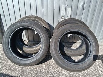 Sada gum Goodyear Efficientgrip Performance 2 205/55 R16 91V