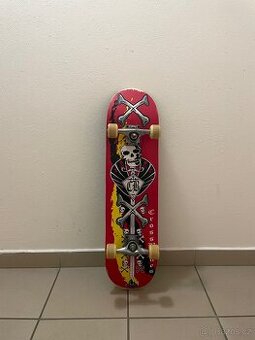 Skateboard (pouze osobní odběr)