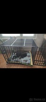 Pevná klec/kotec pro psa