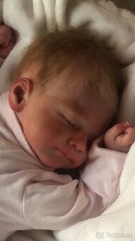 Reborn-kit Renée SLEVA uvedená v textu - 1