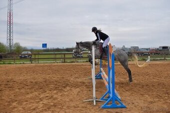 Pronajem úžasné šimličky