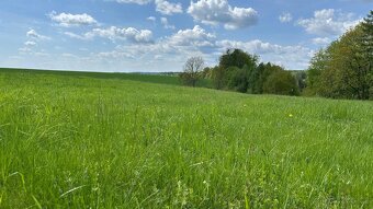 Prodej, lesní pozemek, 32.970 m2, Stolín, Náchod - 1