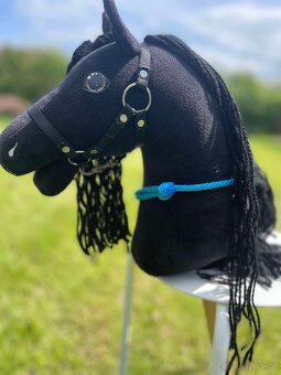 Hobby horse