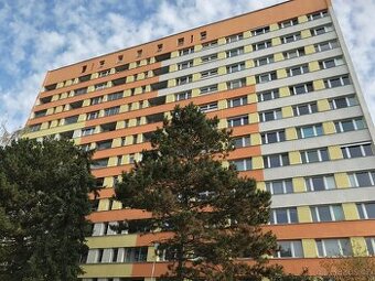 Pronájem bytu 1+1 Brno - Lesná, Halasovo nám.